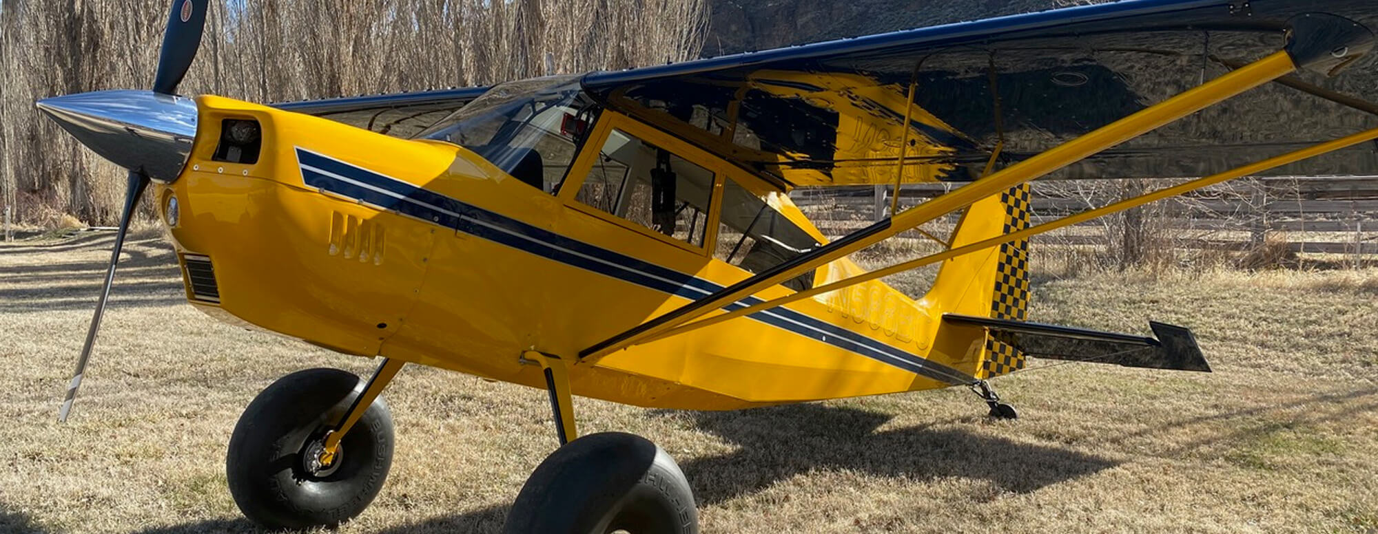 American Champion Aircraft Northwest Backcountry Aircraft Your